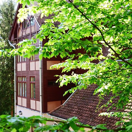 Ezüstfenyő Hotel Telkibánya Exterior foto