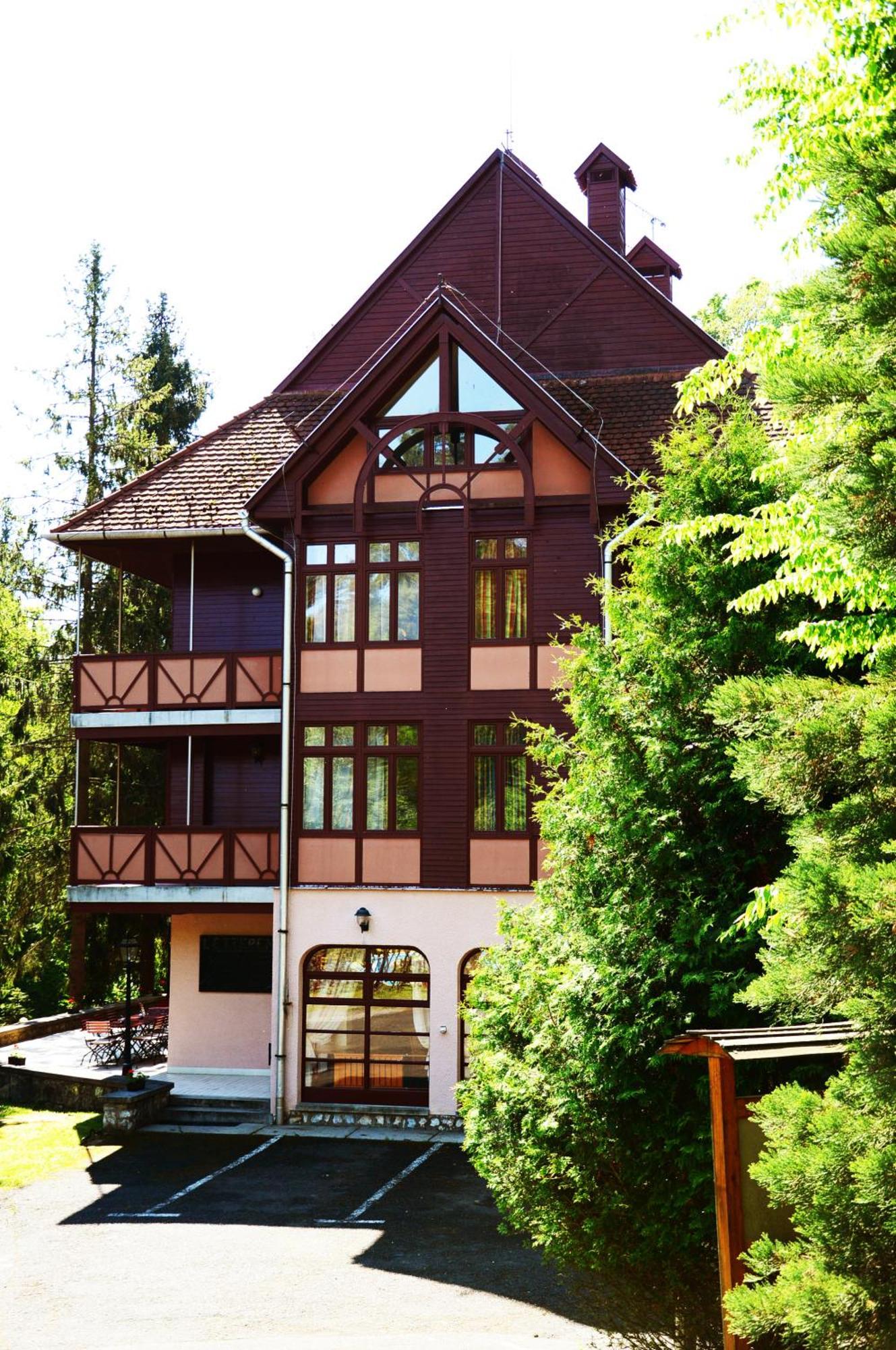 Ezüstfenyő Hotel Telkibánya Exterior foto