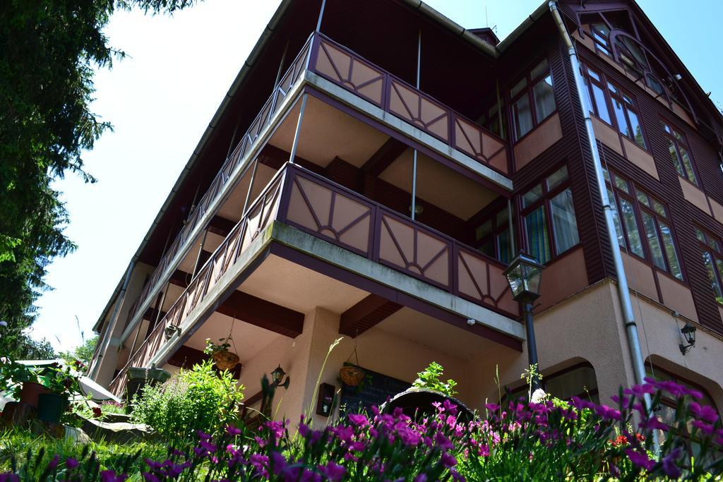 Ezüstfenyő Hotel Telkibánya Exterior foto